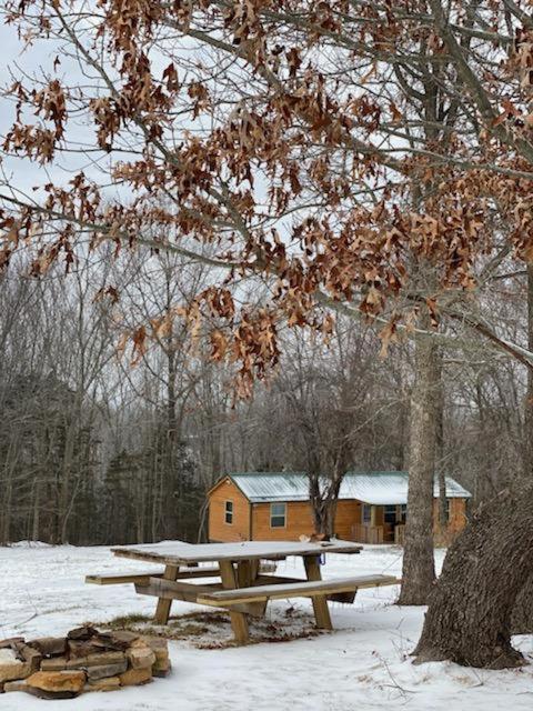 Cabin With A Tree House On A Buffalo Farm . Marshall Buitenkant foto